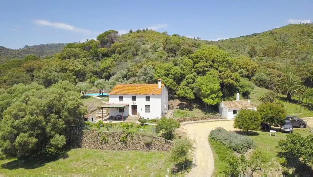 Finca Sta Teresa, Casa Grande Estepona Exterior foto