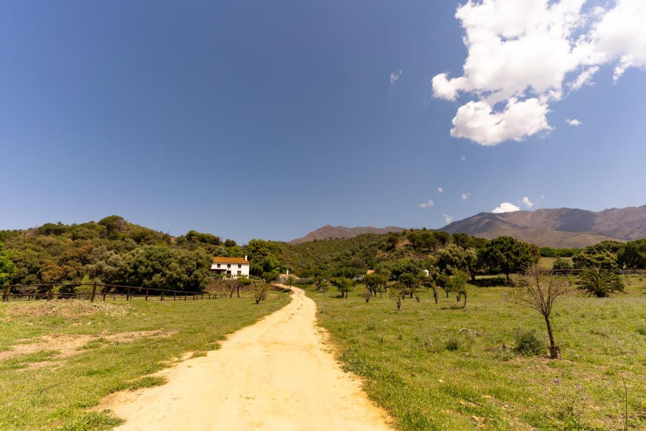 Finca Sta Teresa, Casa Grande Estepona Exterior foto