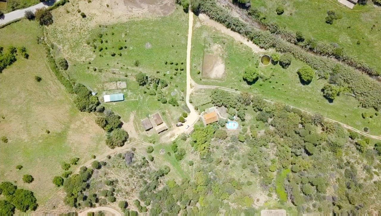 Finca Sta Teresa, Casa Grande Estepona Exterior foto